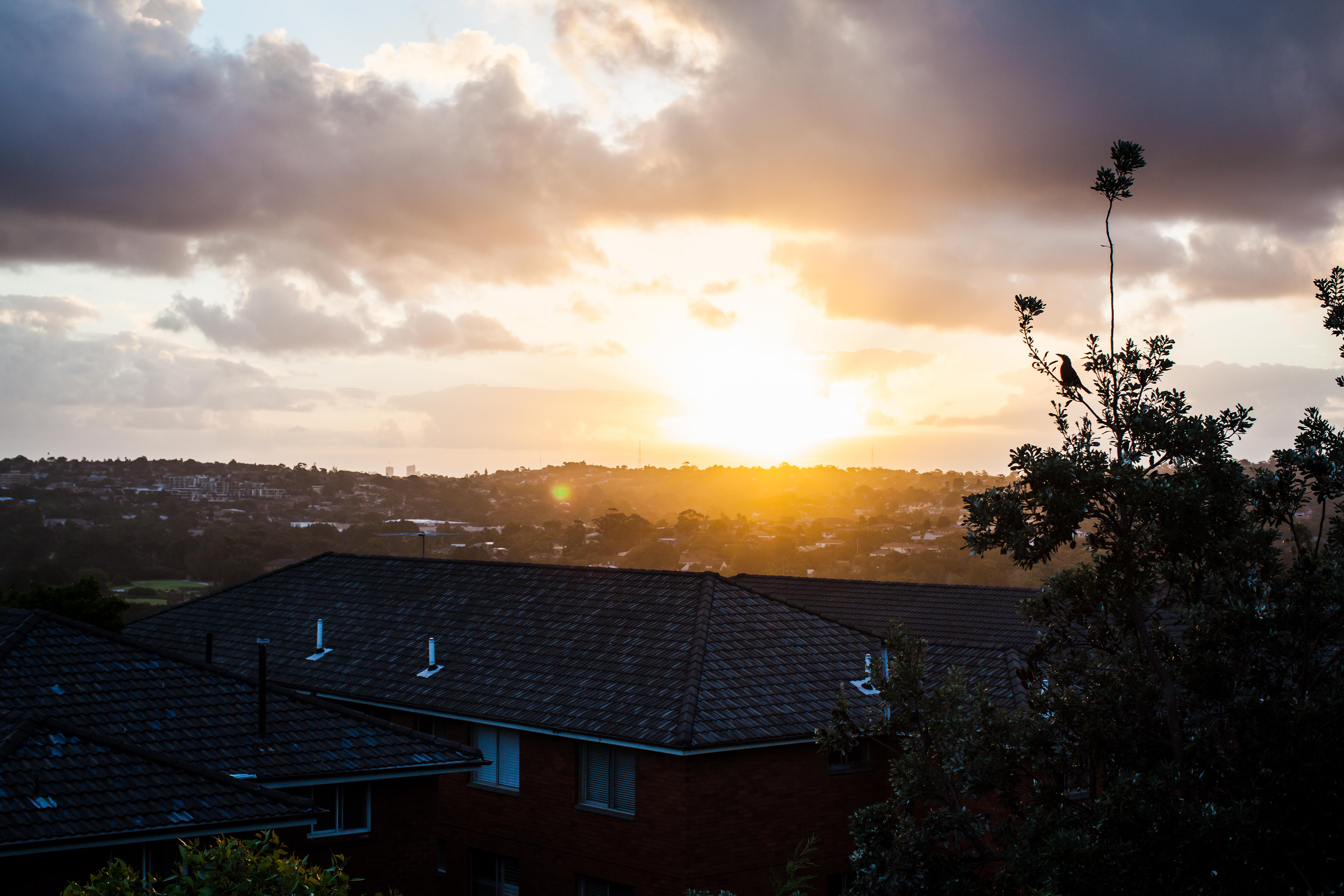 BronwenHens_Snappystreet-43